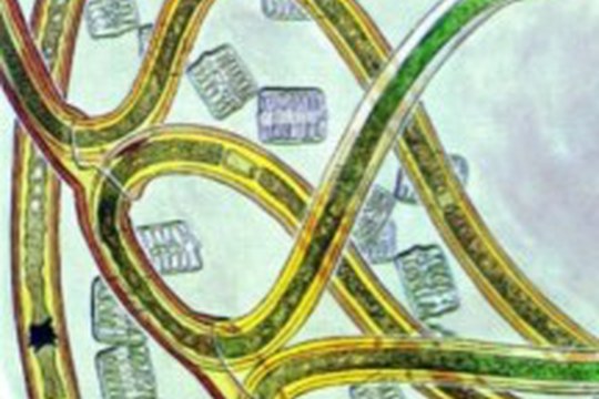 Prof. Rosalina Stancheva Christova’s Lecture on the relevance  of cyanobacteria at BiGeA-UniBO