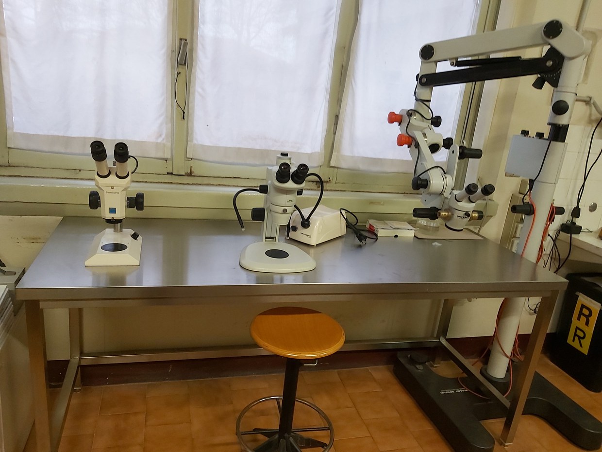 Laboratory of Cell Biology — Biological, Geological, and Environmental ...