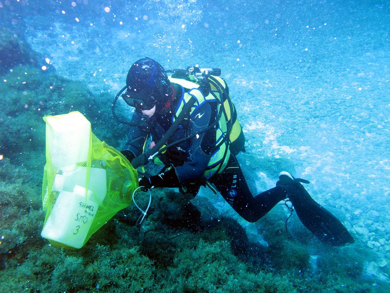 Attività di ricerca in ambiente marino