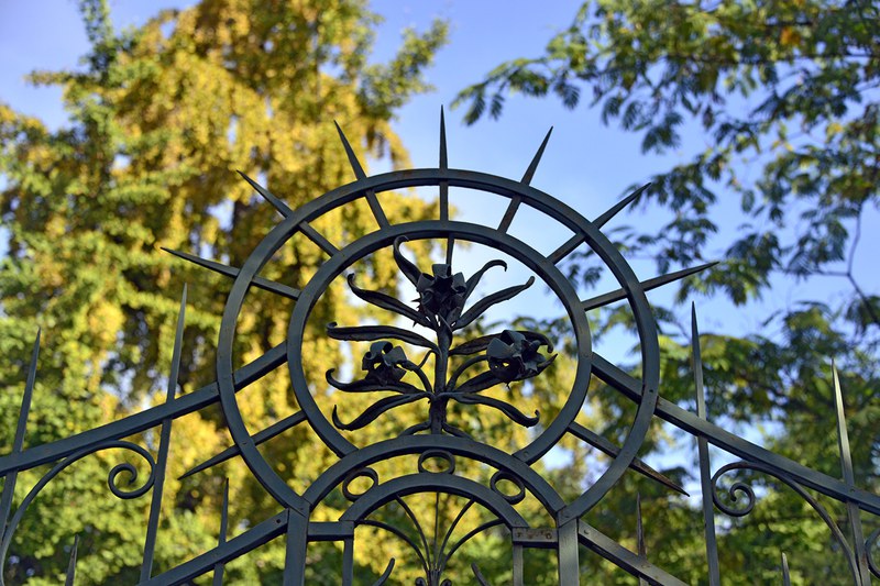 Erbario e Orto Botanico