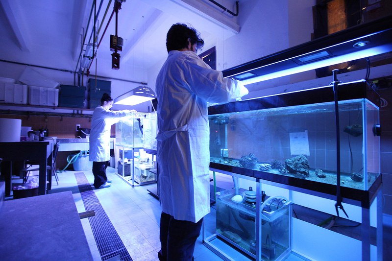Laboratorio acquari “CoralWarm”