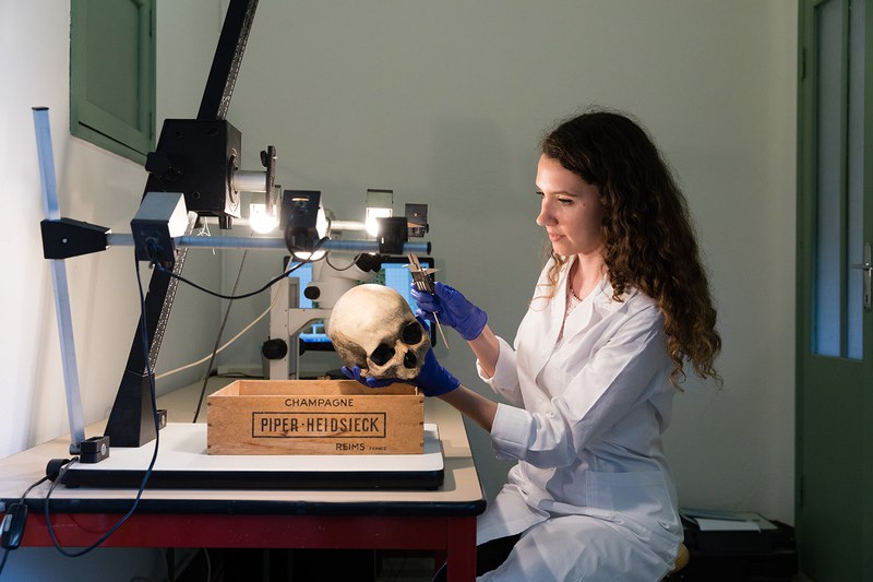 Laboratorio di Paleobiologia e Osteologia