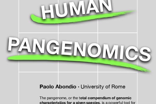Human Pangenomics