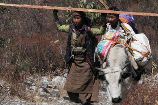 I geni dell’Uomo di Denisova hanno aiutato i popoli Tibetani e Sherpa a colonizzare gli ambienti di alta quota