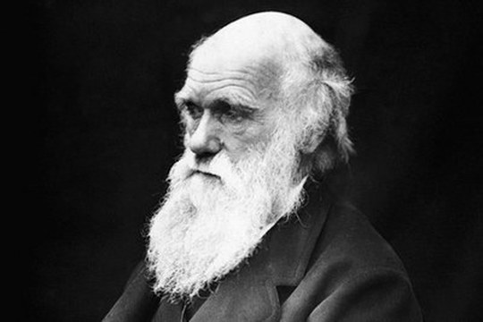 Il grande viaggio dell’evoluzione: un mese di appuntamenti a Bologna per il Darwin Day