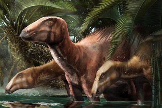 Il primo branco di dinosauri italiano