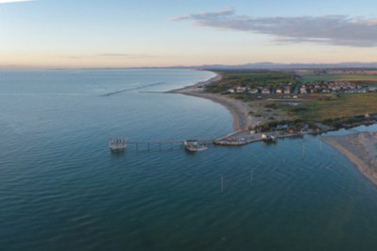 L’antagonismo interspecie in Adriatico si sta modificando, e non è una buona notizia