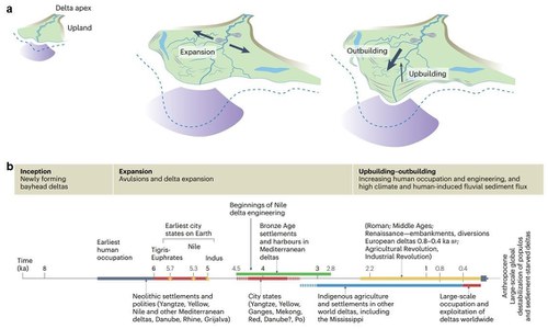 Schema concettuale dell’evoluzione dei delta fluviali durante l'Olocene. b) Eventi-chiave nella relazione tra delta e società umane negli ultimi 7.000 anni.