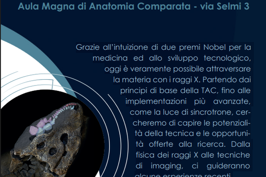 La Tac: decifrare l'anatomia di un fossile ai raggi X