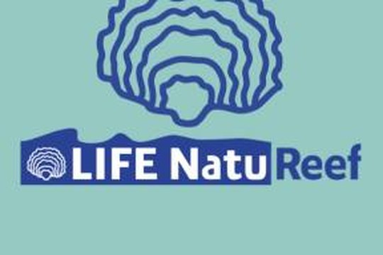 Life NatuReef a GEO