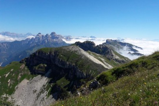 Il primo inventario dei licheni delle Dolomiti, consultabile online
