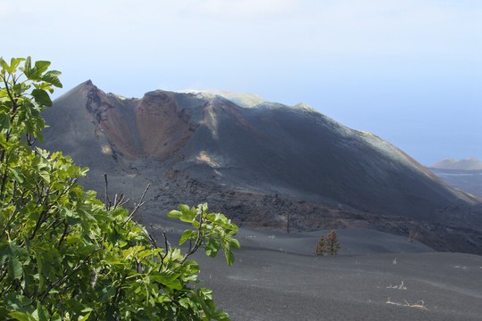 Nell’isola di La Palma, laboratorio a cielo aperto della biodiversità