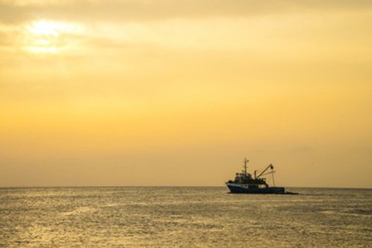 Pesca a propulsione elettrica nell’Adriatico: al via il progetto 3EFishing