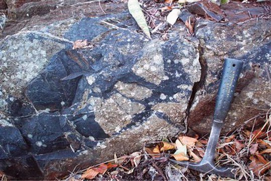 Scoperti microrganismi fossili vissuti 3,4 miliardi di anni fa