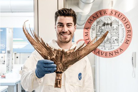 Zooarcheologia e genomica rivelano lo sfruttamento eccessivo del tonno rosso da parte dell'uomo Zooarcheologia e genomica rivelano lo sfruttamento eccessivo del tonno rosso da parte dell'uomo